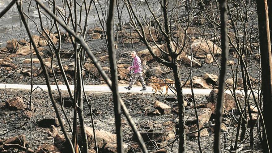 El primer detenido en Galicia por los incendios quemaba rastrojos