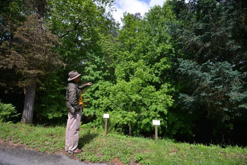 El Jardín Botánico de Lourizán, un pulmón verde