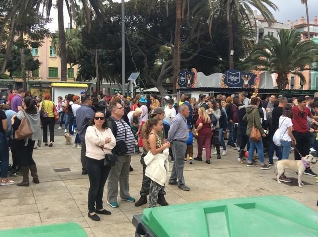 Carnaval de Las Palmas de Gran Canaria 2017: Carnaval Canino