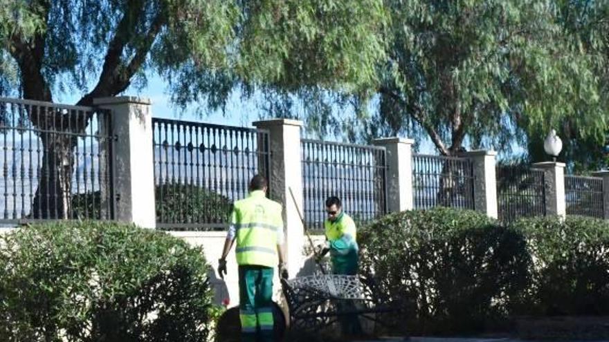 Mantenimiento de las zonas verdes del cementerio de Albatera.