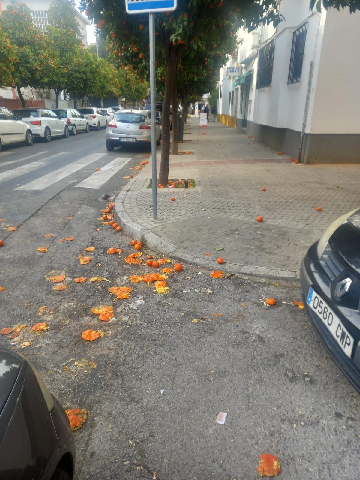 Naranjas aplastadas en la carretera