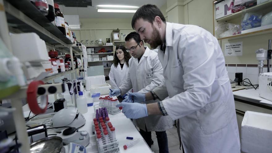 Investigadores en un laboratorio de la UIB