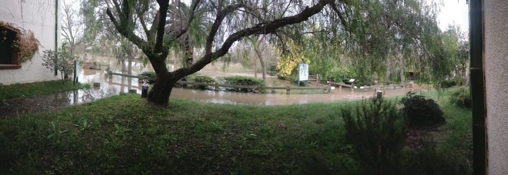 Efectes del temporal al parc natural