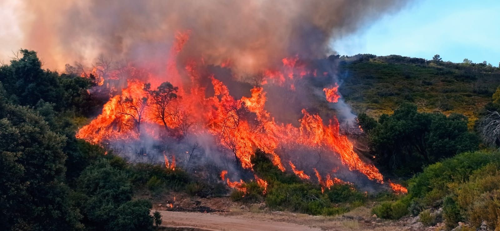 El incendio de Bejís, en imágenes
