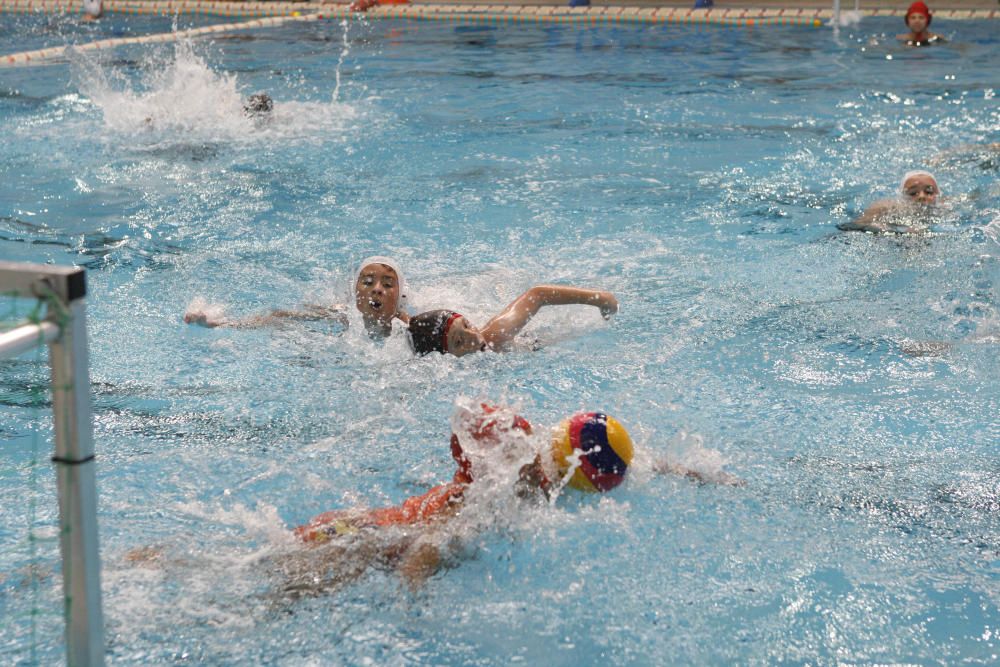 San Pedro 2016: Torneo alevín de waterpolo