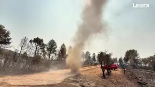Tolvaneras o remolinos de polvo: los pequeños tornados que se pueden ver en la zona quemada en Teresa de Cofrentes