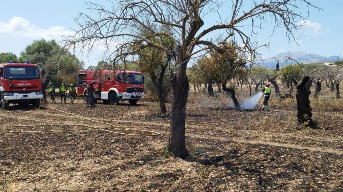 Un incendio agrícola quema 3 hectáreas en Moscari