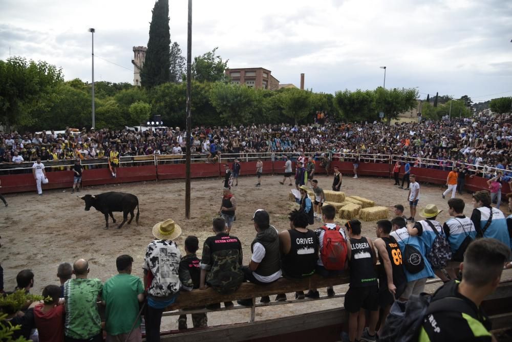 Vaquetes de Santpedor 2018