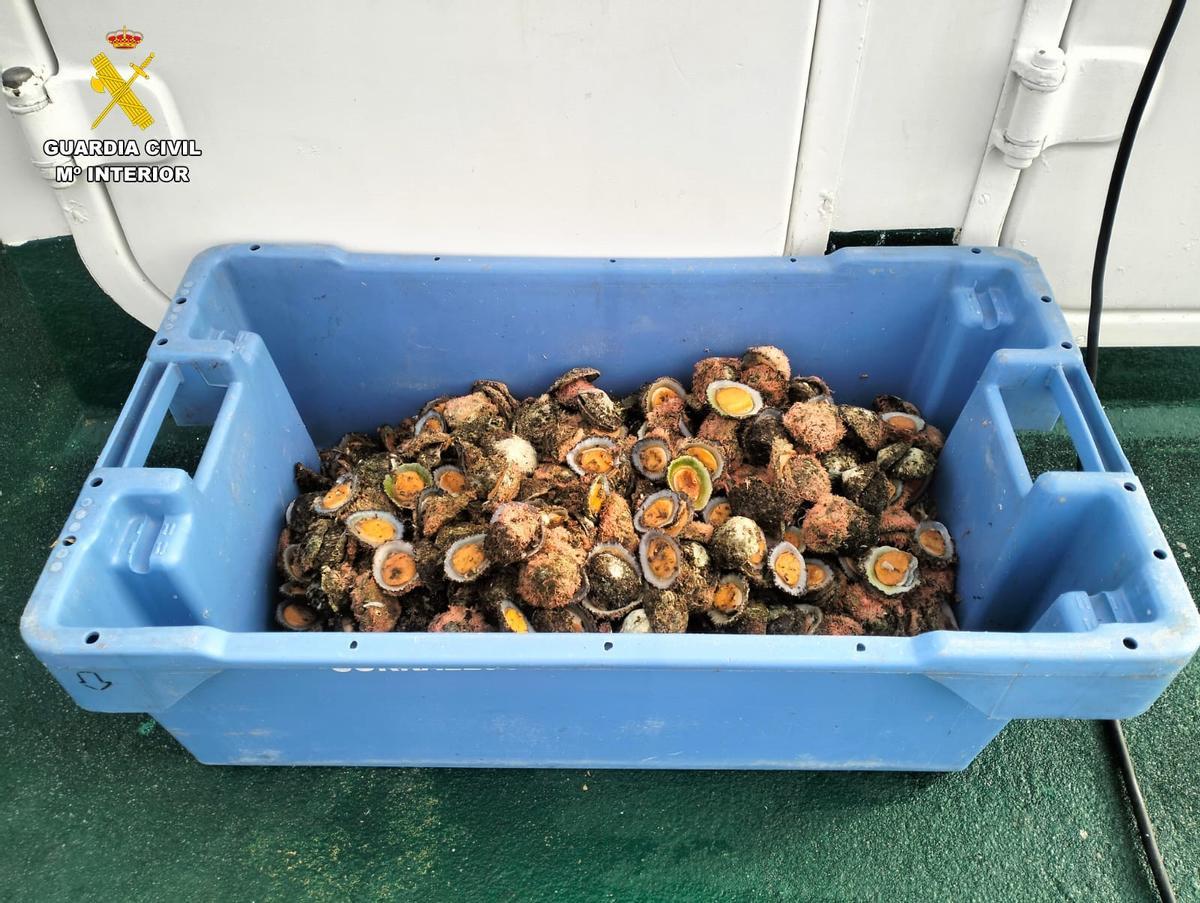 100 kilos de pescado a cuatro pescadores deportivos en la isla de Lanzarote