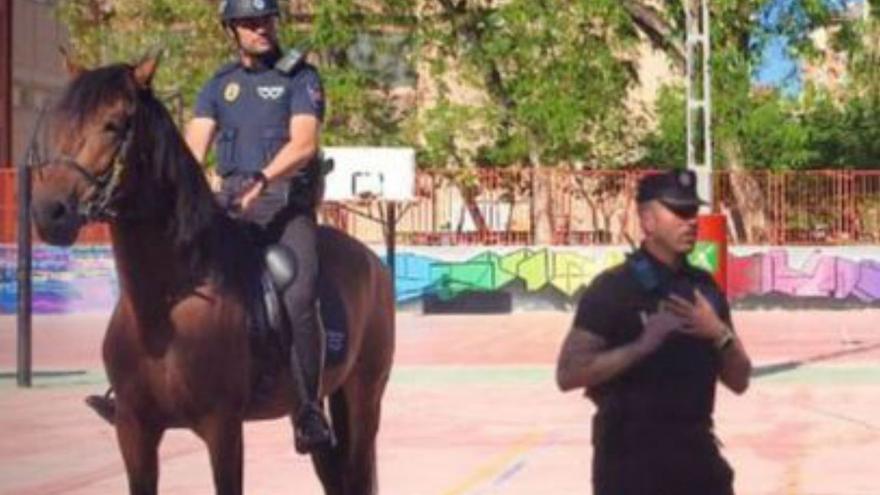 La Unidad de Caballería de la Policía de Murcia visita el CEIP Mariano Aroca