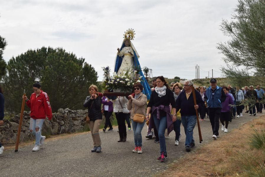 Romería del Cristo en Muelas del Pan.