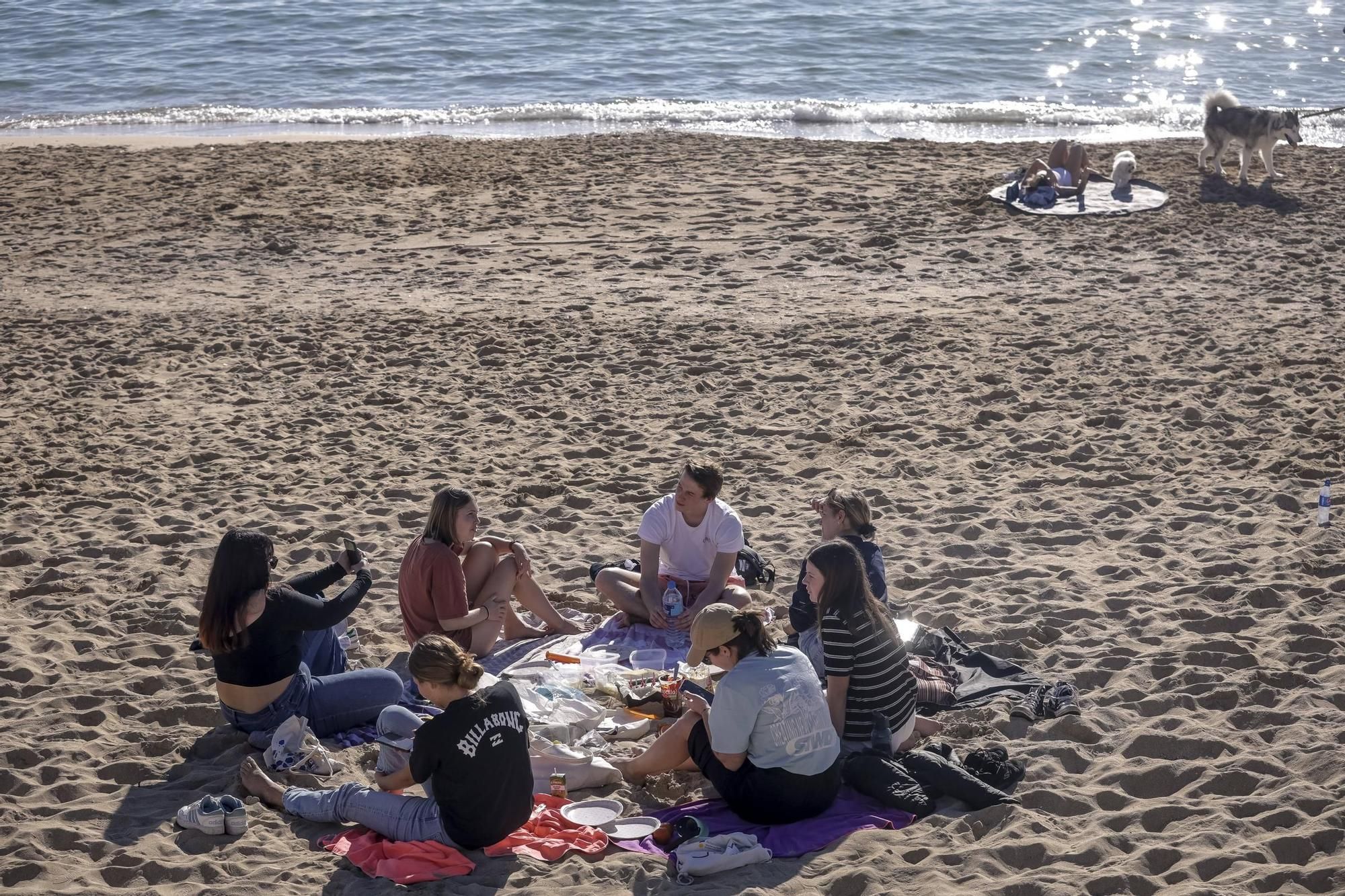 Als ob schon Sommer wäre: So genießen die Menschen das Strandwetter auf Mallorca