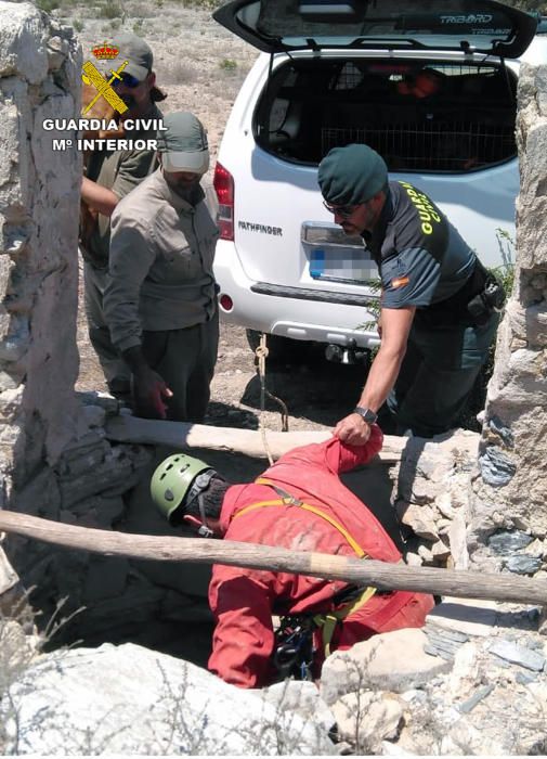 Rescatan el perro de un cazador que había caído en un pozo de 30 metros de profundidad en La Aljorra