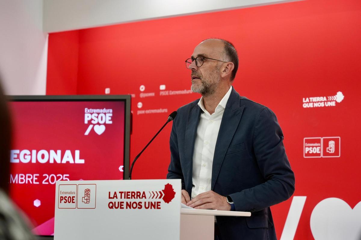 El secretario de Organización del PSOE, Manuel Mejías.
