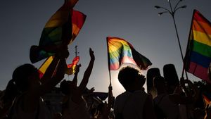 Varias personas con banderas LGTBI durante la manifestación estatal del Orgullo LGTBI+ 2024.