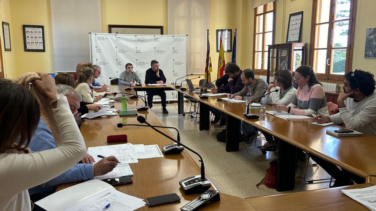 Imagen de la reunión celebrada este lunes entre la Conselleria y los representantes del sector productivo.