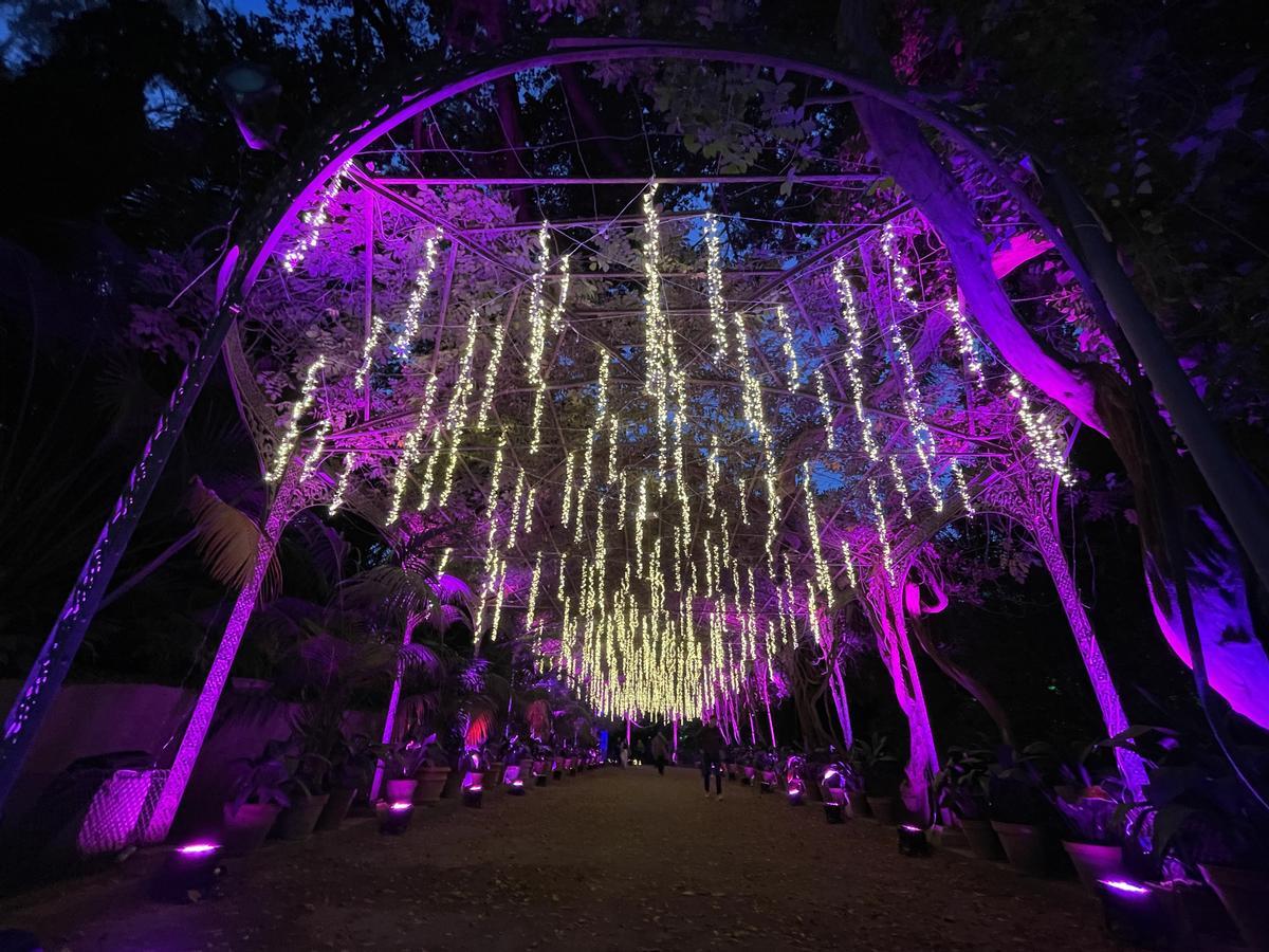 El Jardín Botánico Histórico La Concepción enciende sus luces de Navidad