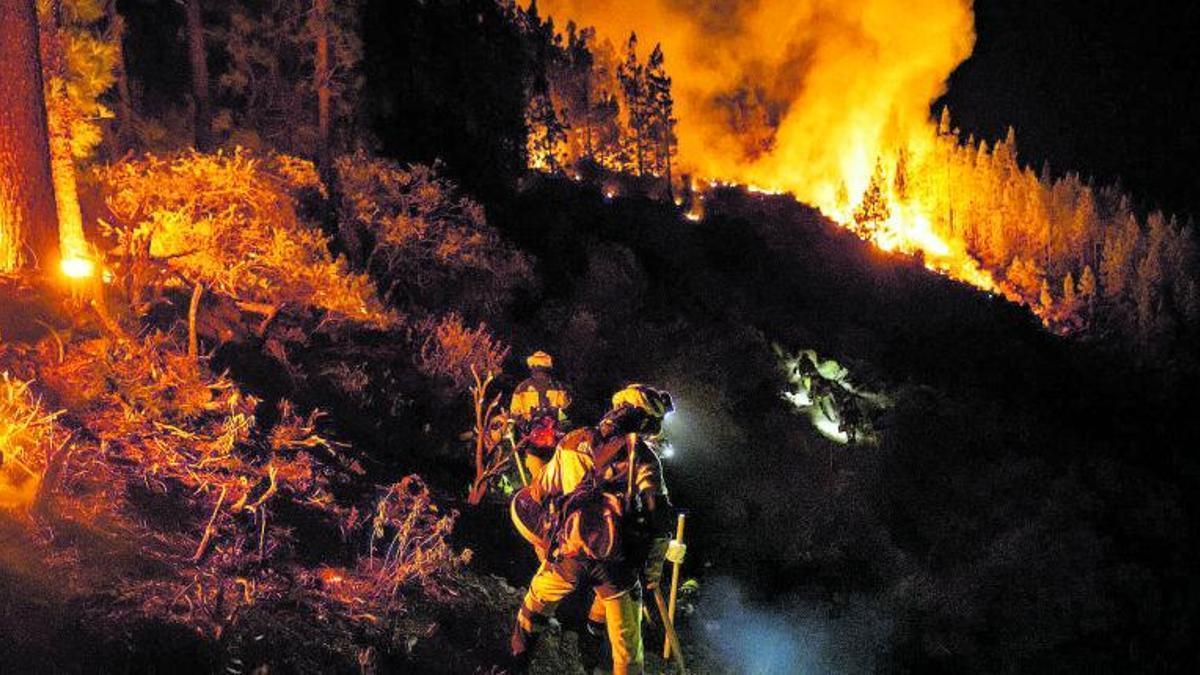Los bomberos intervienen en las tareas de extinción de un incendio en Tenerife.