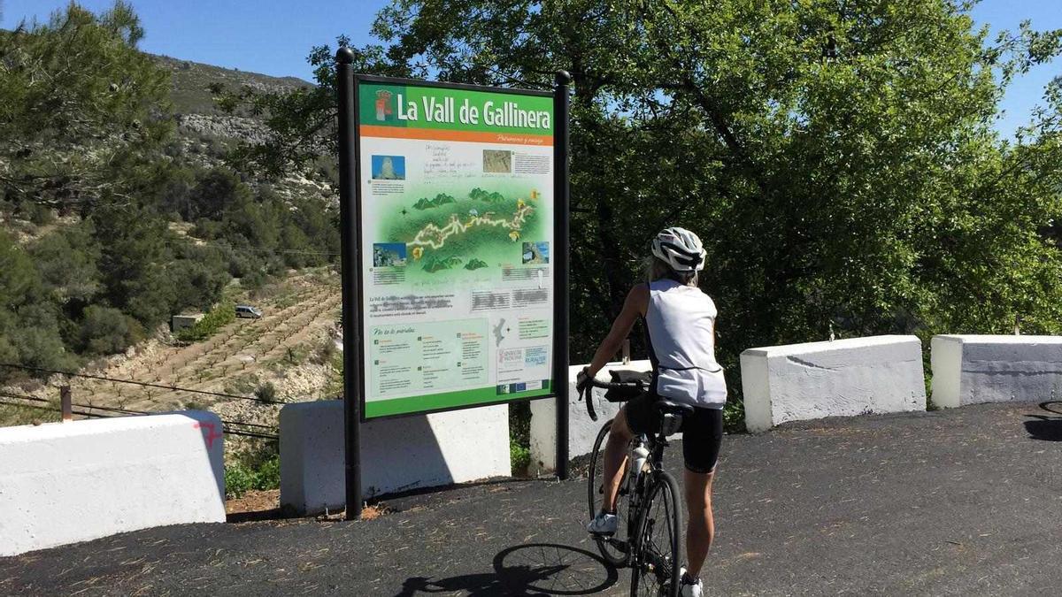 Una ciclista en la Vall de la Gallinera, una carretera serpenteante ideal para practicar este deporte