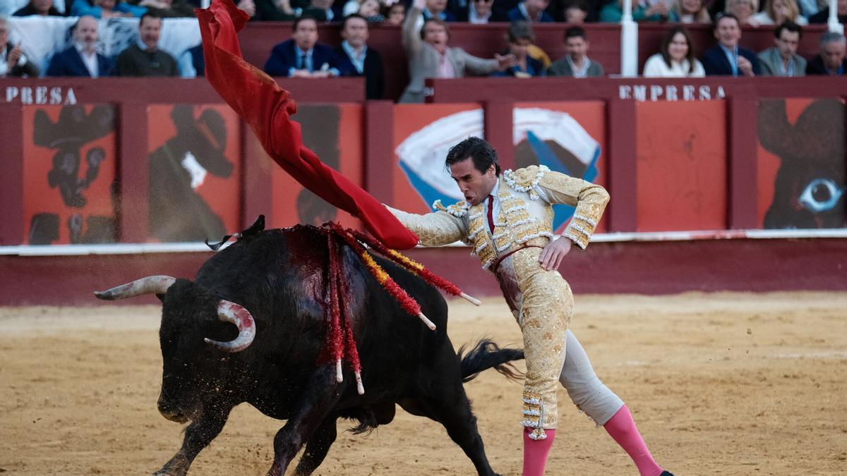 Corrida Picassiana en la plaza de Toros de la Malagueta