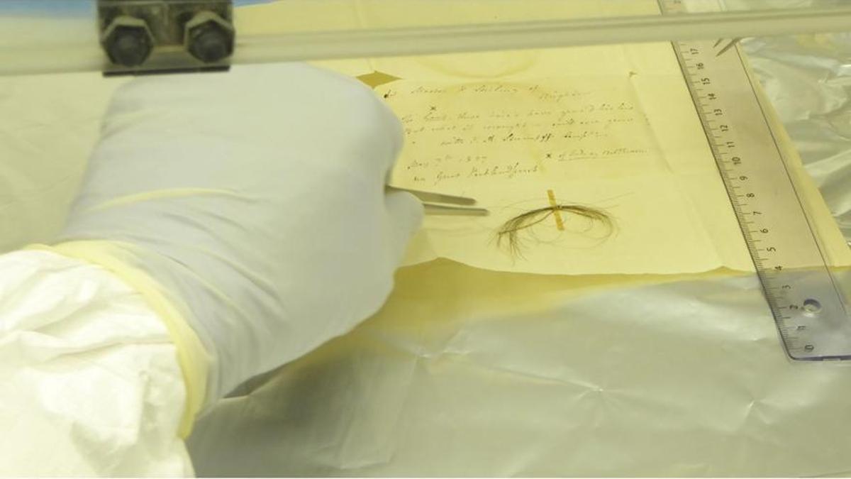 Un investigador analiza un mechón de pelo de Beethoven para extraer su ADN.