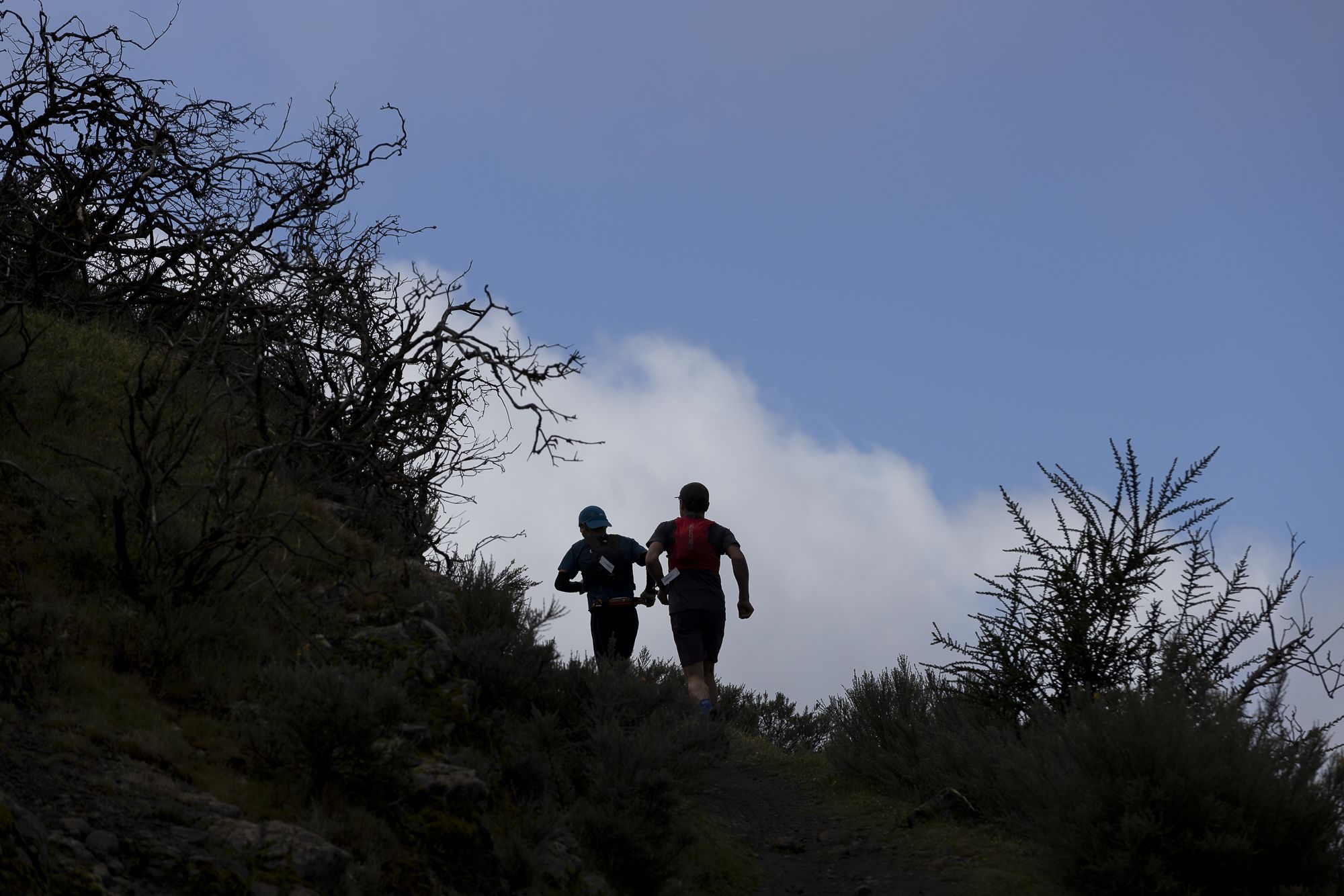 Transgrancanaria Classic