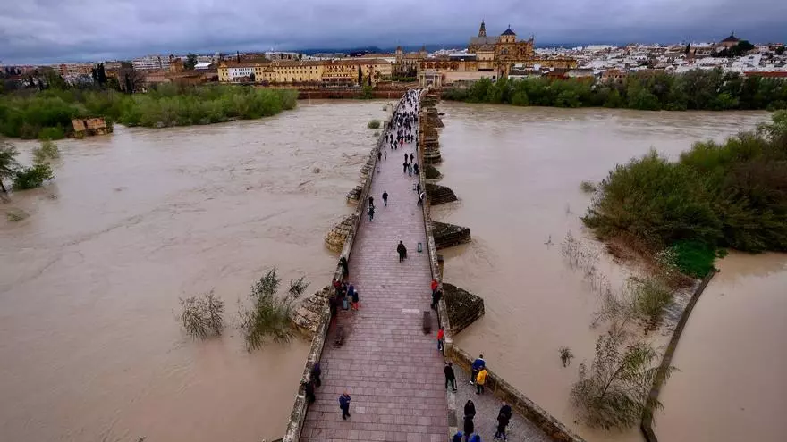 Estado de los puentes de Córdoba