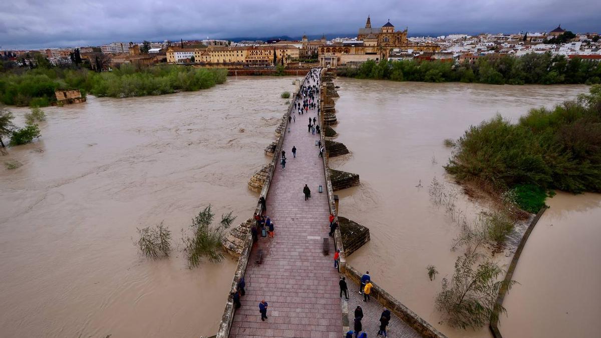 Estado de los puentes de Córdoba