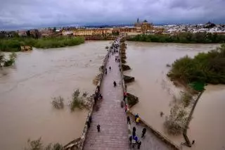 El nivel del Guadalquivir se estabiliza tras un pico de 4,28 metros y Córdoba se prepara para otra borrasca