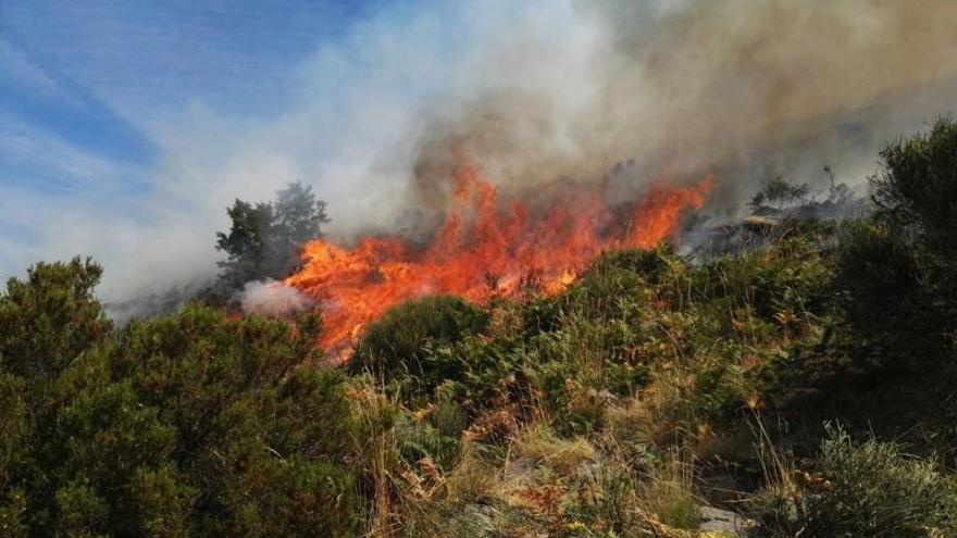 El incendio originado en el Valle del Jerte también fue intencionado