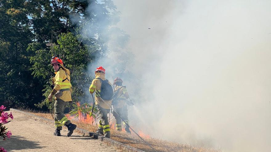 Incendio de pastos en el Paseo Alto