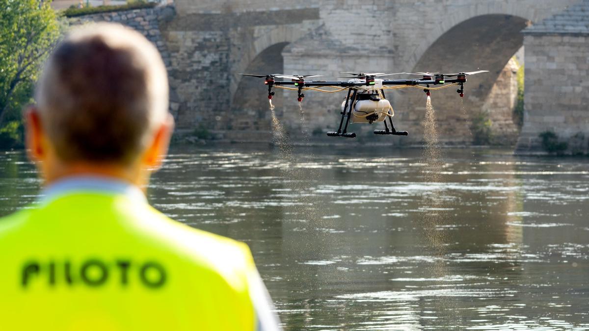 Comienza la segunda fase del tratamiento con drones contra la mosca negra en el Ebro