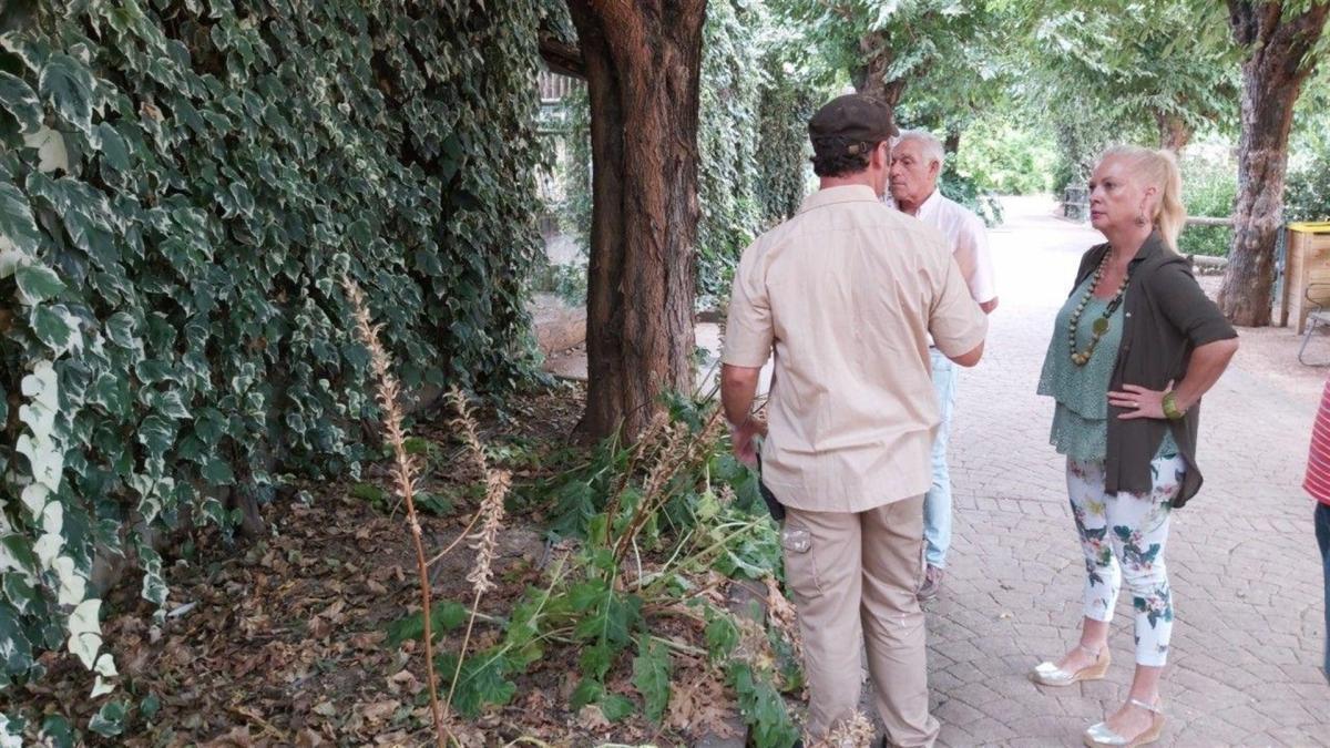 Podemos critica el estado de &quot;abandono&quot; que sufre el Zoo de Córdoba