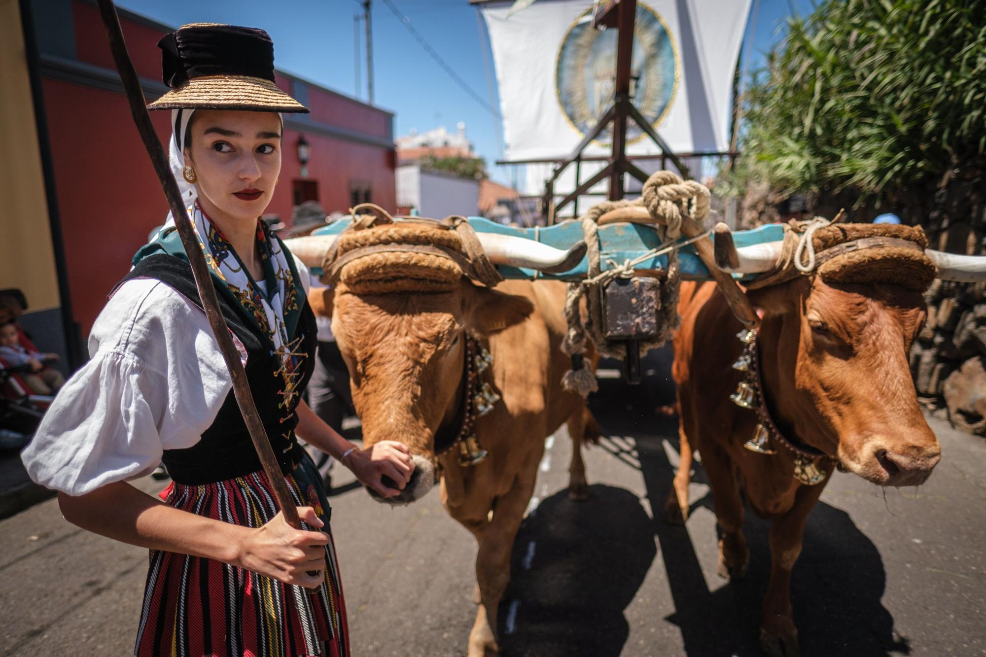 Exposición de Carros y Carretas de las Fiestas de San Marcos de Tegueste.