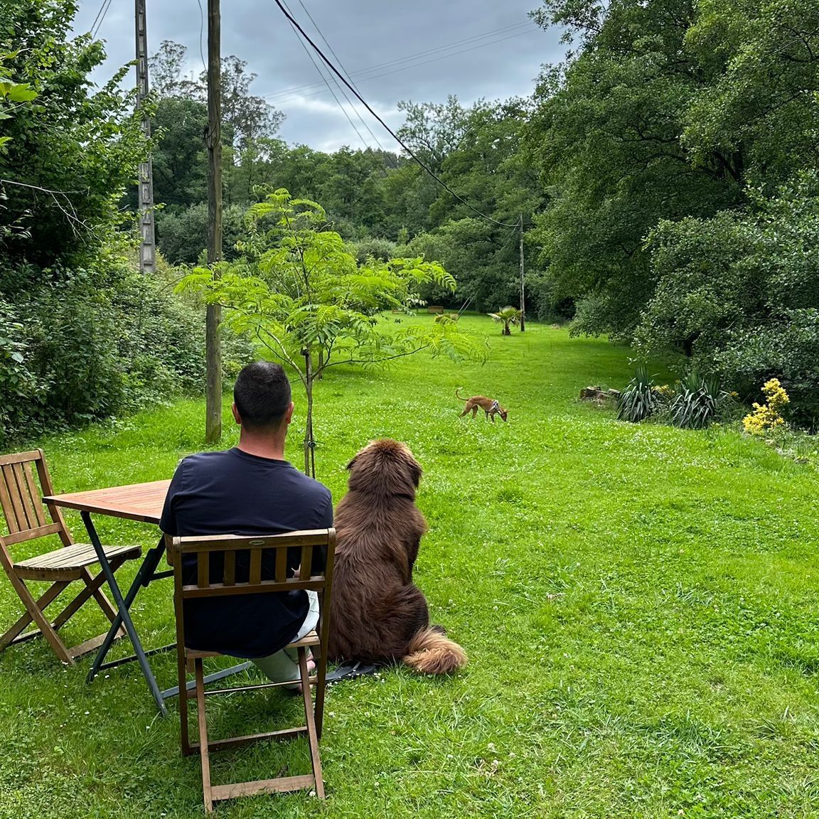 Aquí los animales son uno más de la familia