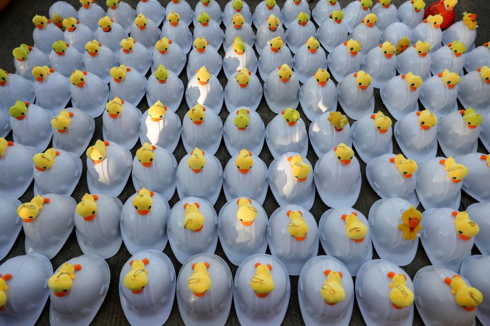 Los patitos de goma se unen a los cascos durante una manifestación a favor de la democracia que exige que el rey Maha Vajiralongkorn de Tailandia.