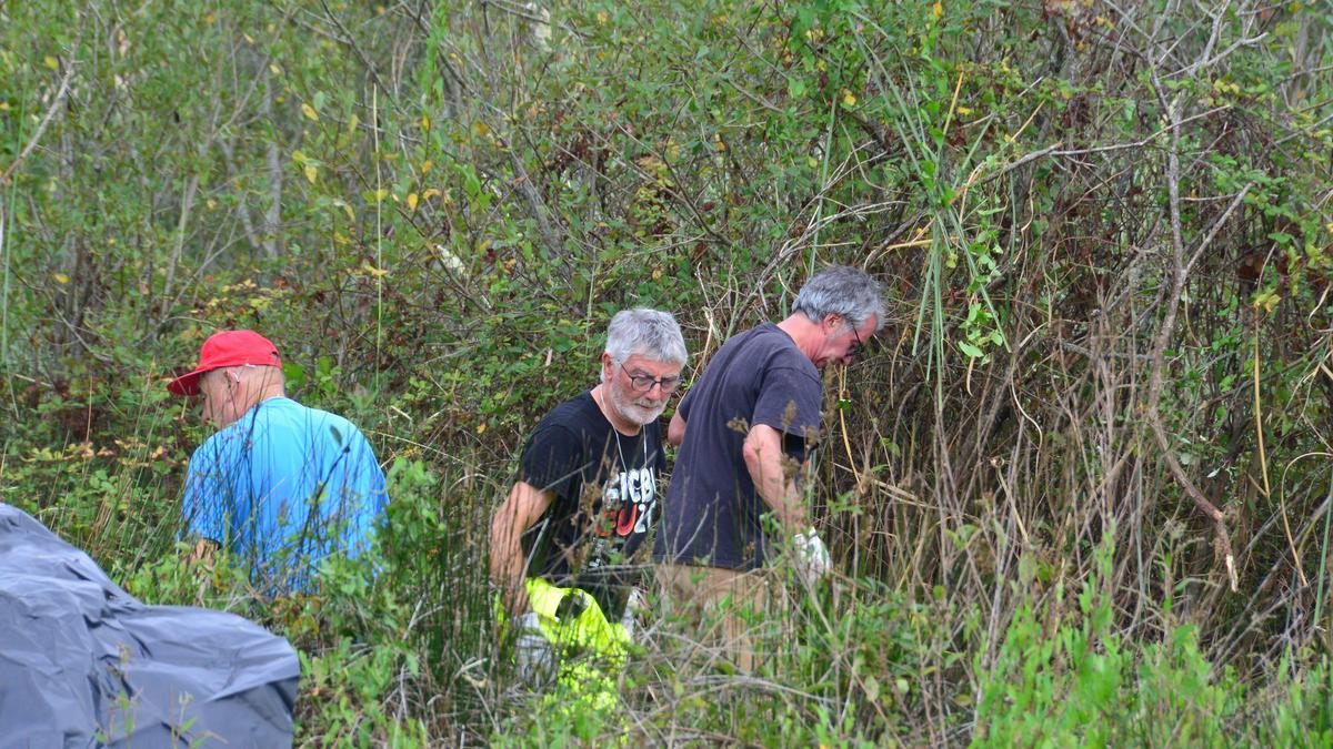 Vecinos trabajan en la Lagoa de Vilariño para erradicar la pampa.