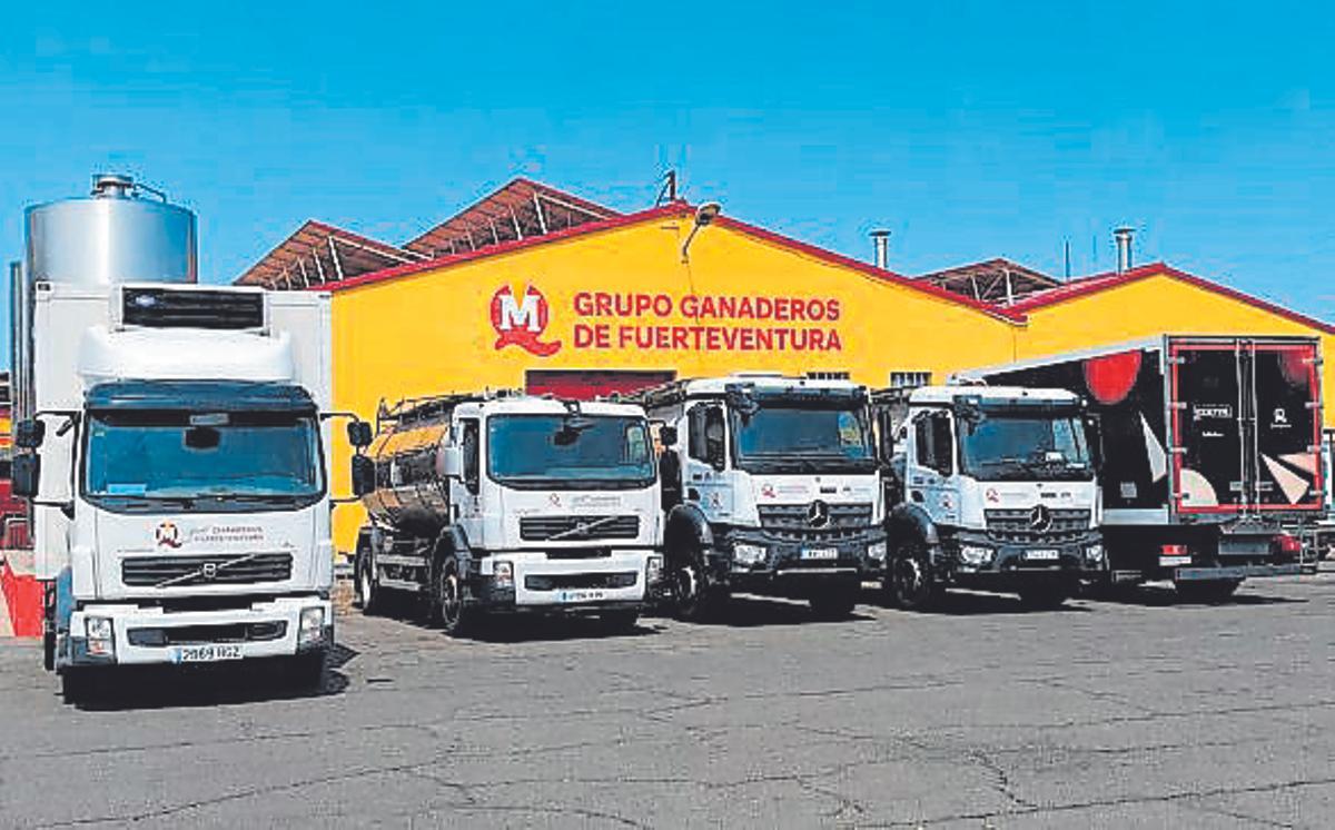 Cuatro décadas contemplan a Grupo Ganaderos de Fuerteventura S.L. como uno de los pilares de la industria agroalimentaria.