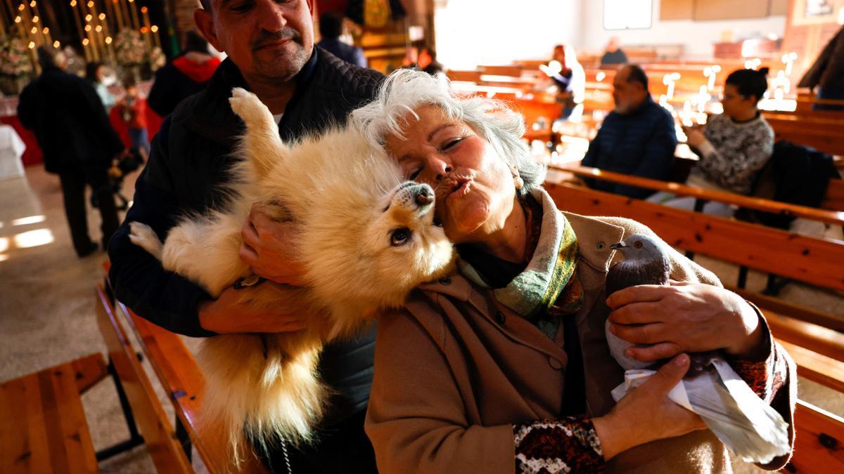 Bendición de animales en una iglesia de Churriana.