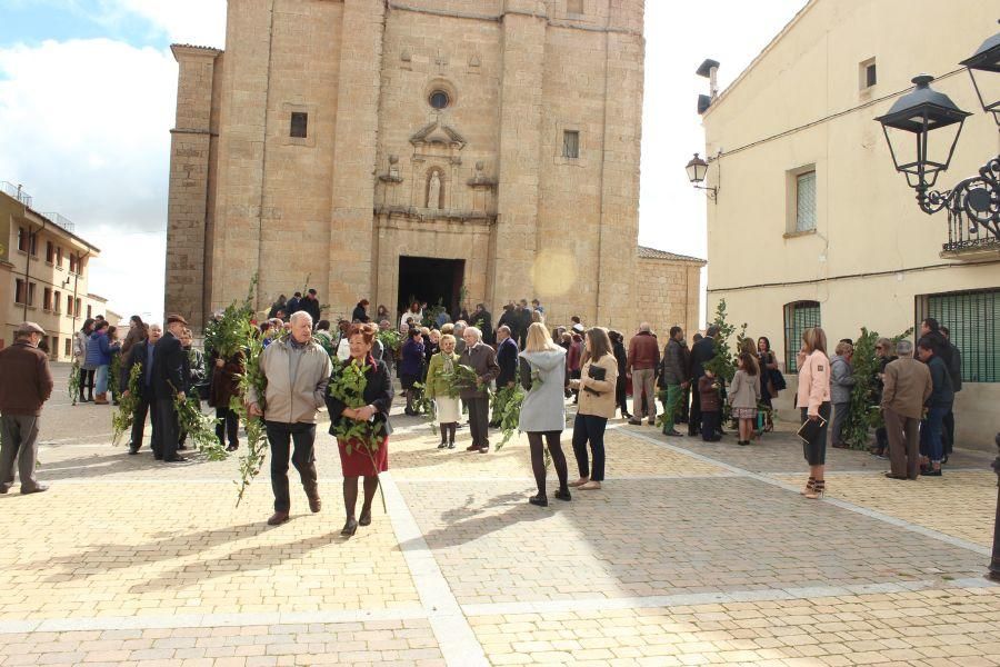 Procesión de Santa María en Fuentesaúco