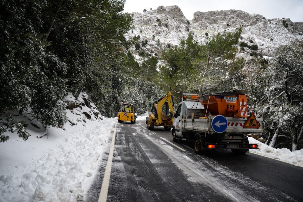 Der frühe Schnee hat am Samstag (2.12.) zahlreiche Insulaner in die Tramuntana gelockt, wo es die seltene Gelegenheit zu Schneeballschlachten oder zum Bau von Schneemännern gab.