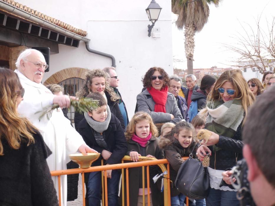 Fiesta de Sant Antoni Abad de Vera