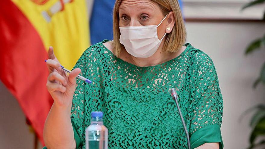 La consejera Isabel Blanco, durante la reunión de ayer. | Ical