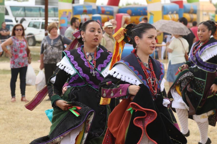 Feria de la Raza Sayaguesa en Bermillo