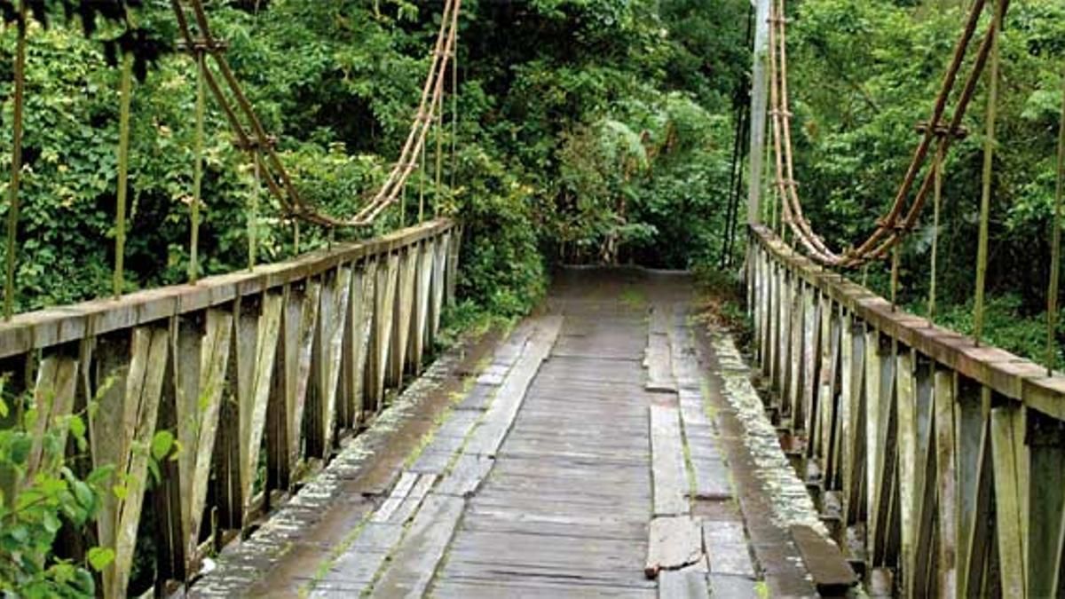 Los canales del Parque Tortuguero en Costa Rica