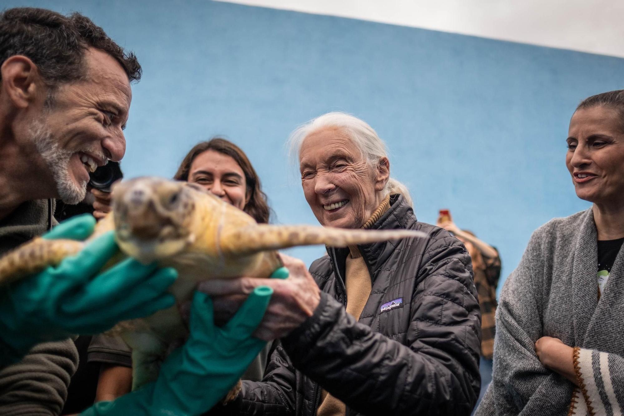 Jane Goodall visita distintos lugares en Tenerife