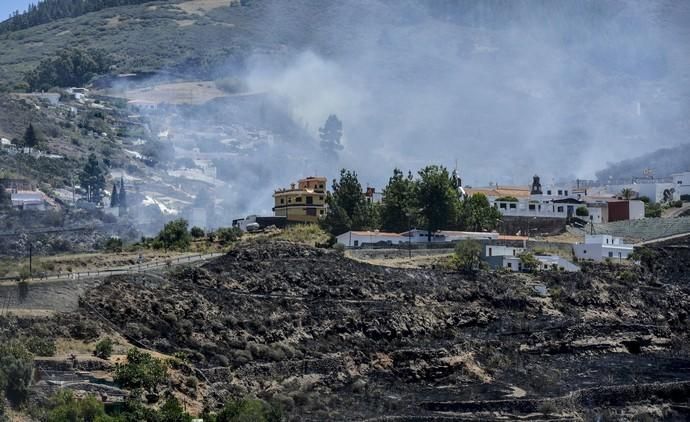 GÁLDAR. Incendio en La Cumbre. Juncalillo afectado por el incendio originado en Artenara.  | 11/08/2019 | Fotógrafo: José Pérez Curbelo