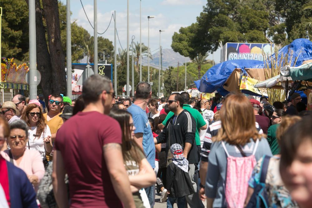 Miles de personas en el domingo de Santa Faz