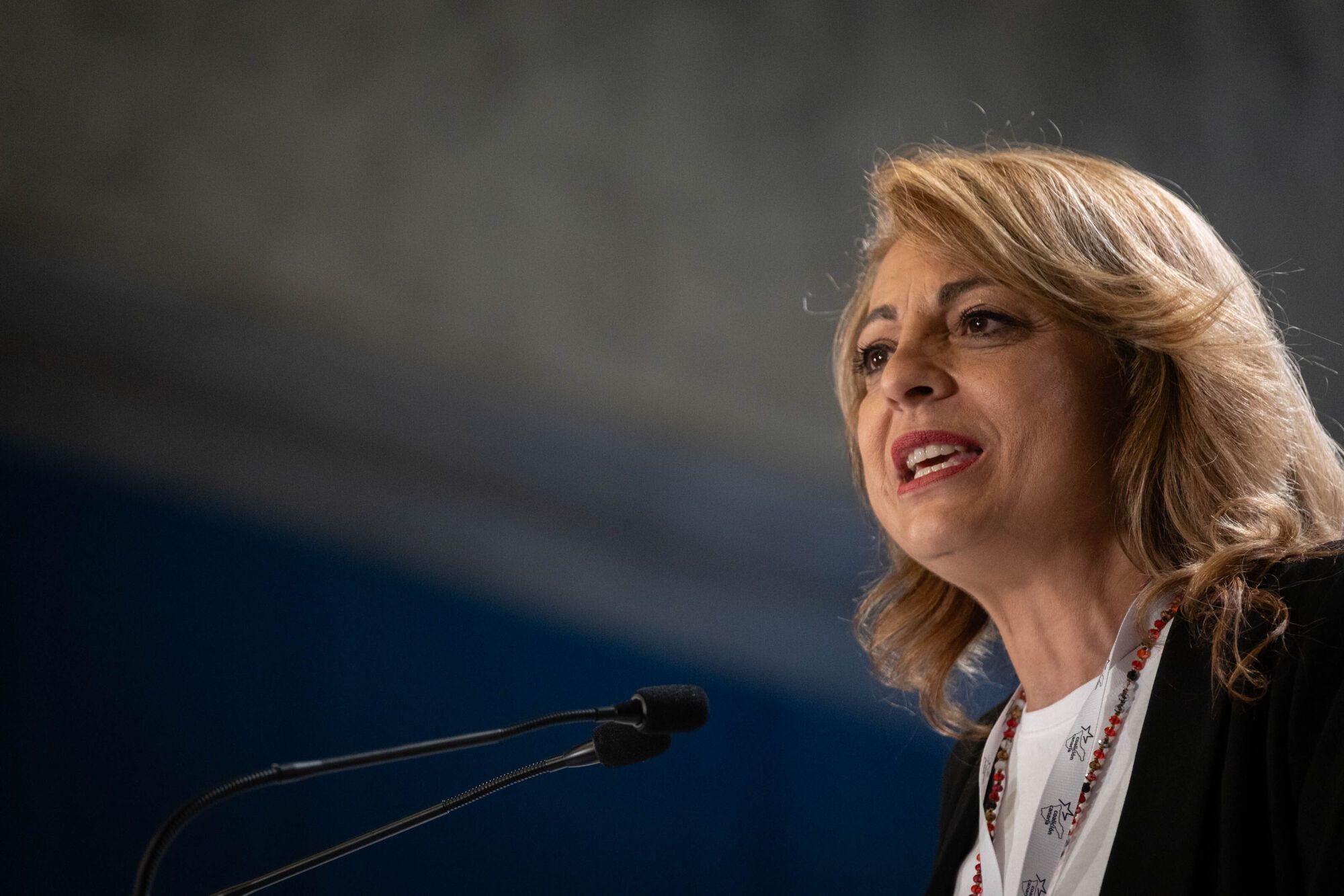 VI Congreso Insular de CC