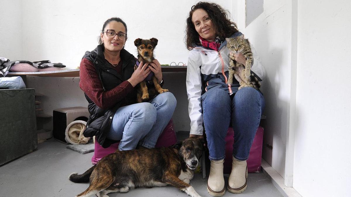 Chus Carracedo López, presidenta de Patiñas da Estrada: «En menos de un año gestionamos 56 adopciones de perros y gatos»